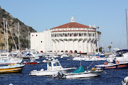 . had the camera out a great deal. i have always loved catalina island. we . (img )