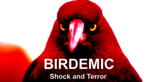 Birdemic: Shock and Terror 2010 truefrench