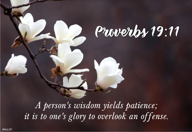 A persons wisdom Proverbs