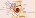 Momod ads.id