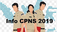 Daftar Formasi dan Persyaratan Penerimaan CPNS Tahun 2019 (41 Pemda)