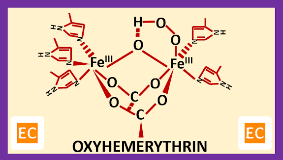 Oxyhemerythrin