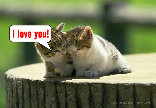 cute i love you mom quotes_15. Cute I Love You Icons.