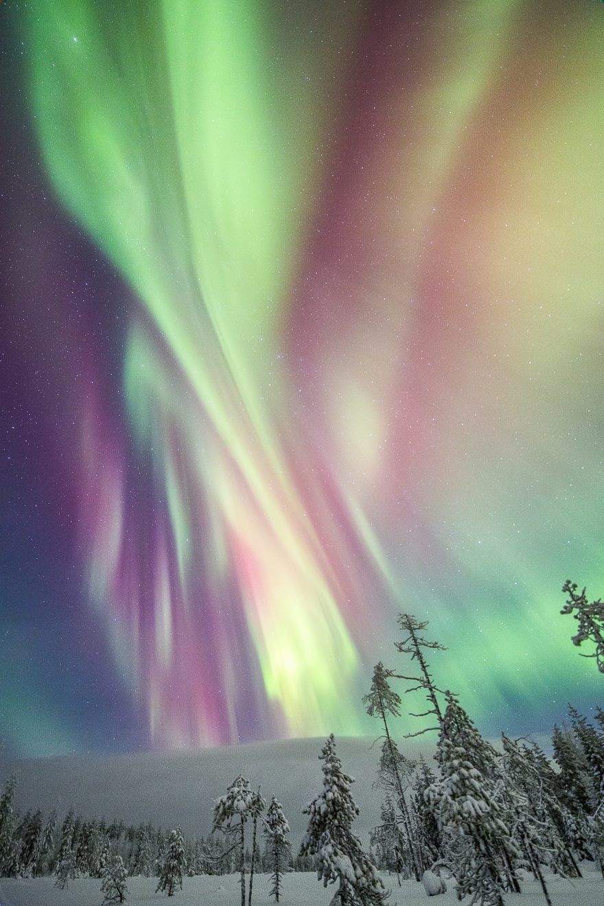 34 Reasons Why Lapland Is The Most Mythical Place To Celebrate Christmas