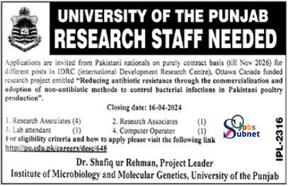 Vacancies Announcement At UOP University Of Punjab Lahore 2024