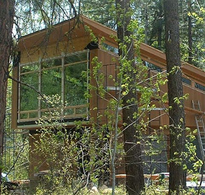 Wooden House Design Ideas in the forest