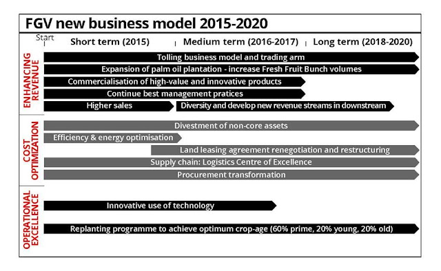 fgv transformation plan