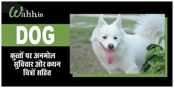 Dog Quotes In Hindi