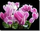 clip_image012[2]