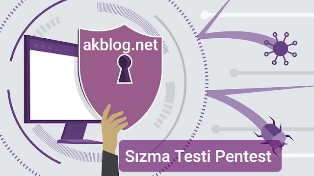 Sızma Testi Testleri Pentest Penetration Nedir