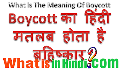 Boycott ka matlab kya hota hai