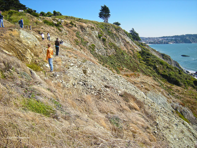 California landslide flood geology travel trip Eel River San Francisco coast Palos Verdes San Andreas copyright RocDocTravel.com