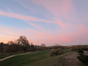 "Larry" Moore Park in Paso Robles: A Photographic Review - Pink Contrails