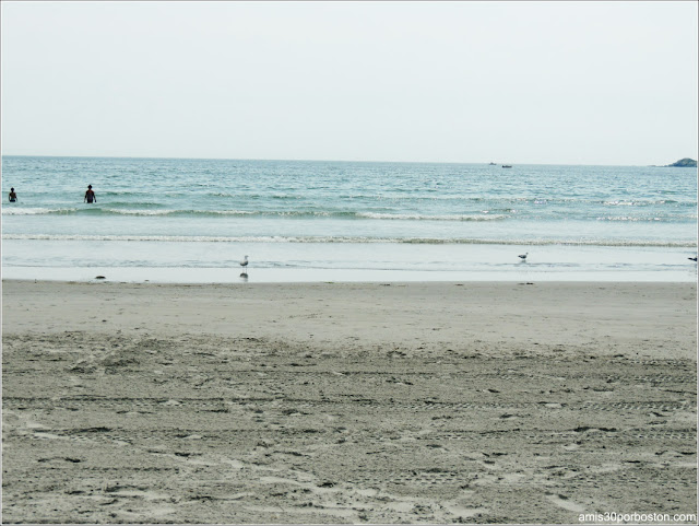 Playas de Massachusetts: Nahant Beach Reservation