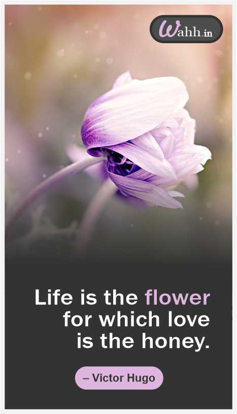 Best Flower Hindi Quotes