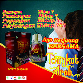 MADU TONGKAT ARAB ARBAIN