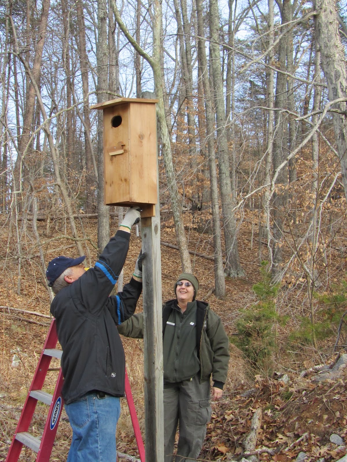 plans for wood duck boxes