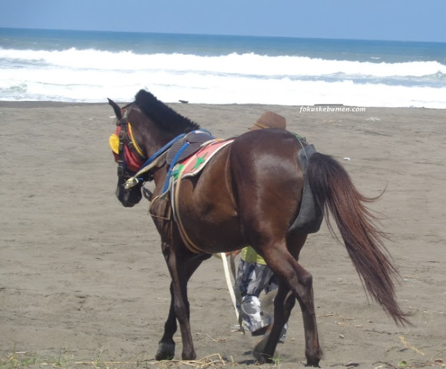 Tempat Wisata Pantai Sawangan Puring Kebumen ✔ Objek Wisata Pantai Sawangan Surorejan Puring Kebumen