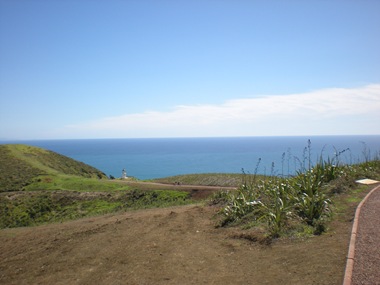 DSCN0341
