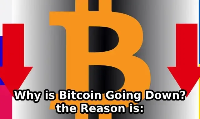 Why is Bitcoin Going Down? the Reason is: