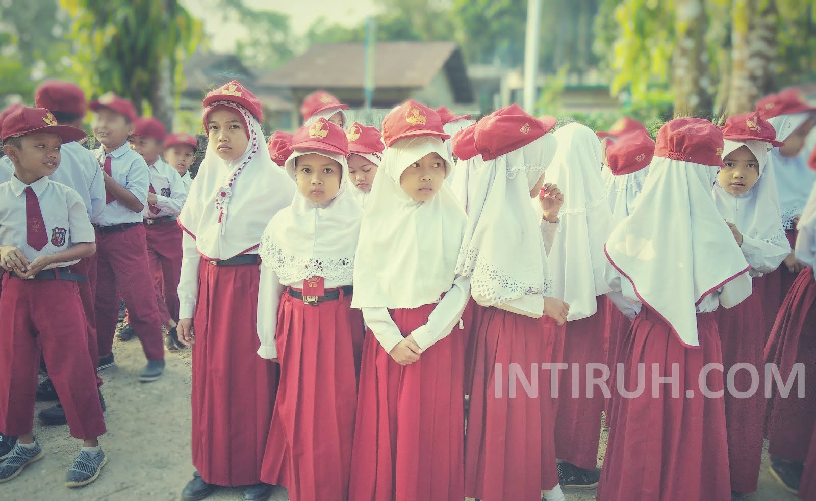 Sistem Zonasi Ppdb Yang Lucu Ala Pedagang Nasi Goreng Intiruh