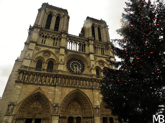 notre dame parigi cosa vedere