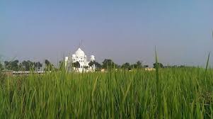 Gurdwara Sri Darbar Sahib Kartarpur | Location, Timing, History