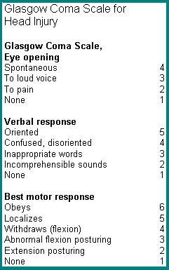 Nursing Diagnoses Nursing Care Plan For Acute Head Injury