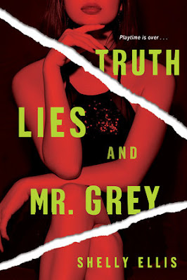 book cover of domestic thriller Truth, Lies, and Mr. Grey by Shelly Ellis