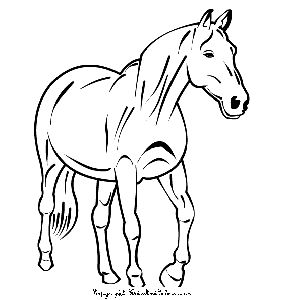 Horse Coloring Sheets on Coloring Pages  Horse Coloring Pages