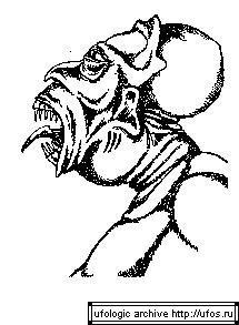 Alien Face Crop Circle 4