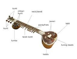 Indian Classical Music Instrument