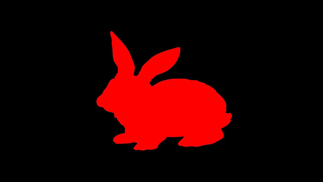 Chinese Zodiac Animal Rabbit