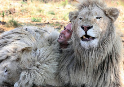 The Lion Whisperer -  Kevin Richardson Seen On www.coolpicturegallery.us