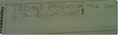 photo 5 (1)