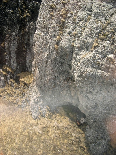 ecoul malinului 071