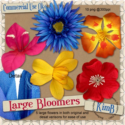 kb-largebloomers