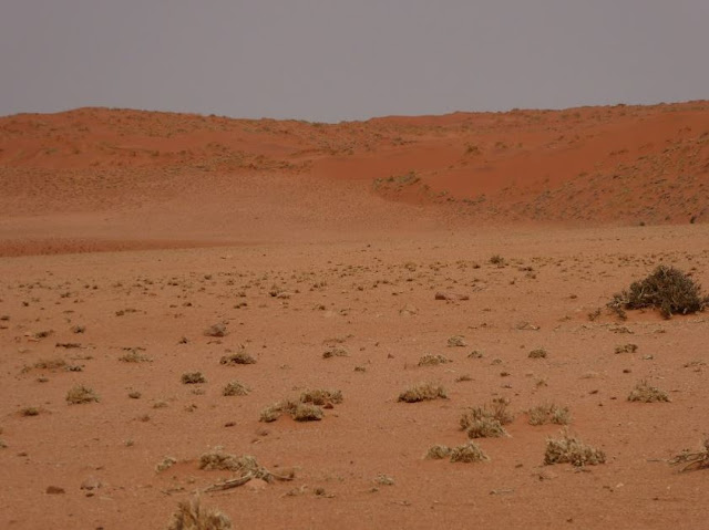 le dune rosse del Namib-Naukaluft National Park