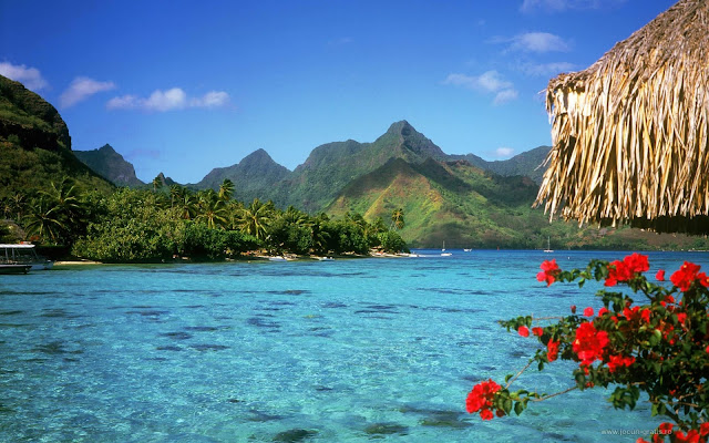 the bahamas landscape