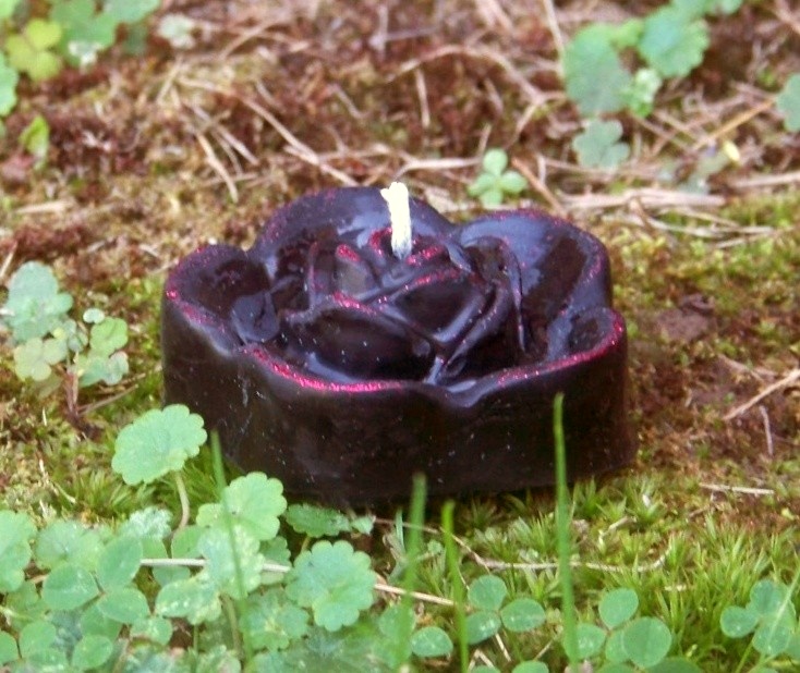 This VAMP Black Rose floating