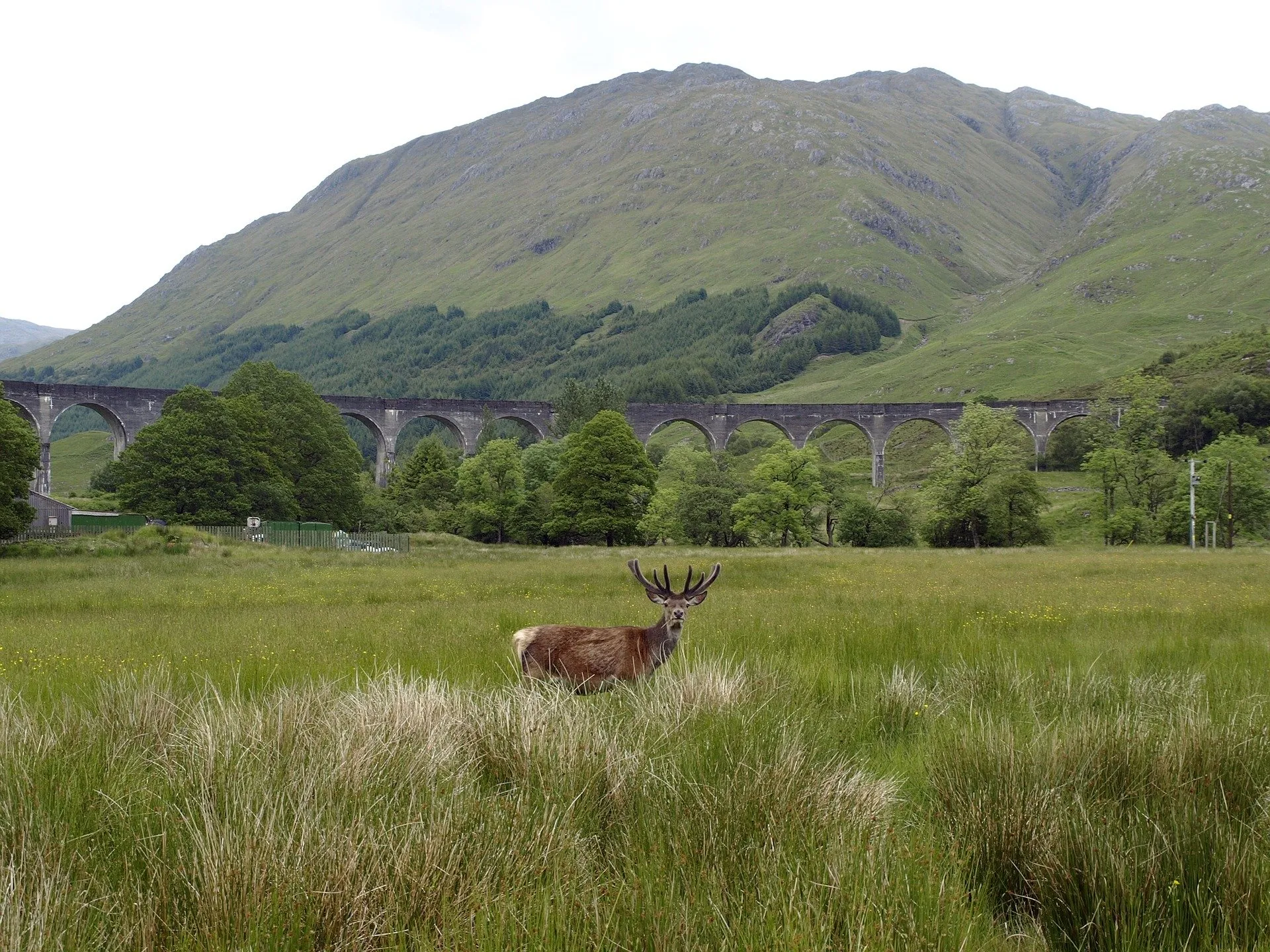 Glenfinnan Viaduct