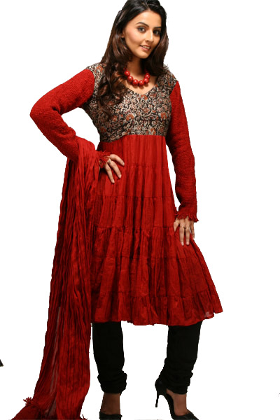 Indian-Traditional-Anarkali-Frocks