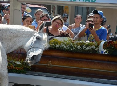 Emocionante: Cavalo é levado a enterro do dono e deita a cabeça sobre caixão