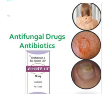 مواضيع الموسوعة المضادات الفطرية Antifungal Drugs