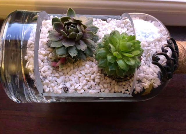 Cheryl's Beautiful Terrariums - created using beautiful recycled glass bottles, these terrariums are a true work of art. 