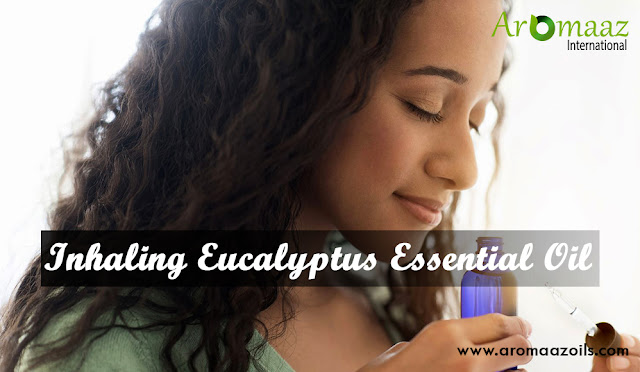 inhaling-eucalyptus-essential-oil