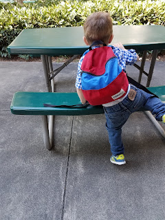 toddler wearing a backpack gift