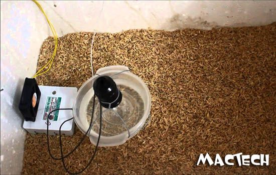 Máy ấp trứng mini 20 trứng phù hợp cho những ai