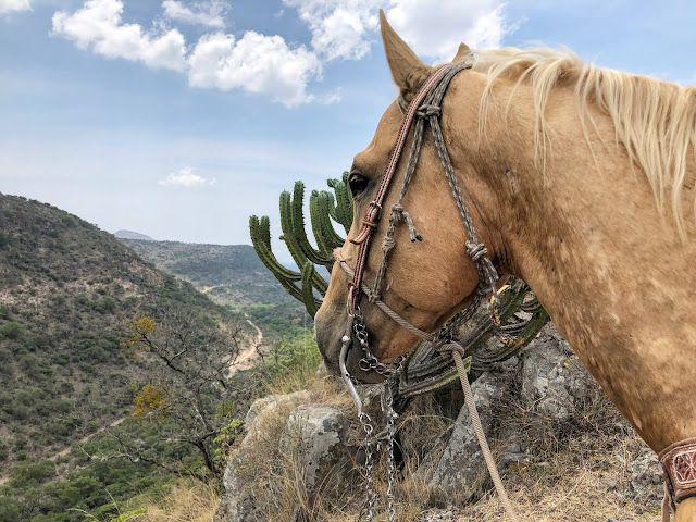 Rancho Las Cascadas Mexico Horseback Riding