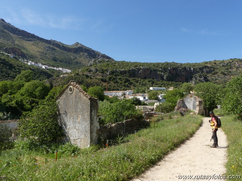 Estación de Cortes - Estación de Benaoján por el sendero del río Guadiaro